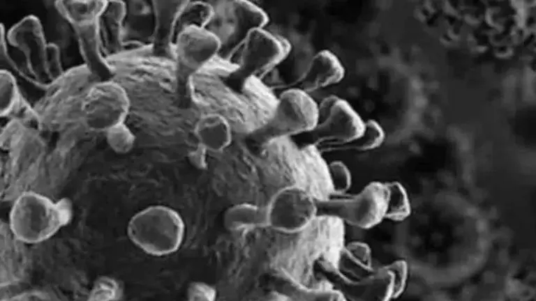 213 fresh coronavirus cases in Rajasthan; number rises to 4,747