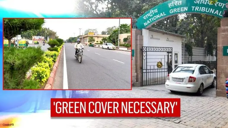 Green cover on both sides of highways necessary to curb vehicular pollution: NGT NGT