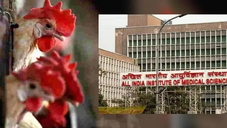 Bird Flu: First case of human transmission of H5N1 detected in India; all you need to know Bird Flu