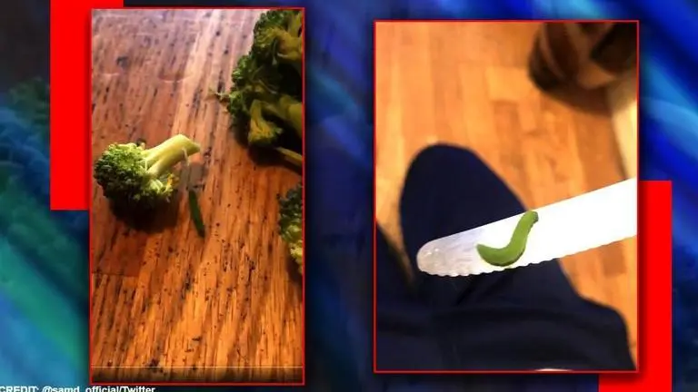 UK: Man decides to pet 6 caterpillars he found in broccoli, shares their journey UK: Man pets caterpillars he finds in his veggies, shares their 'journey'