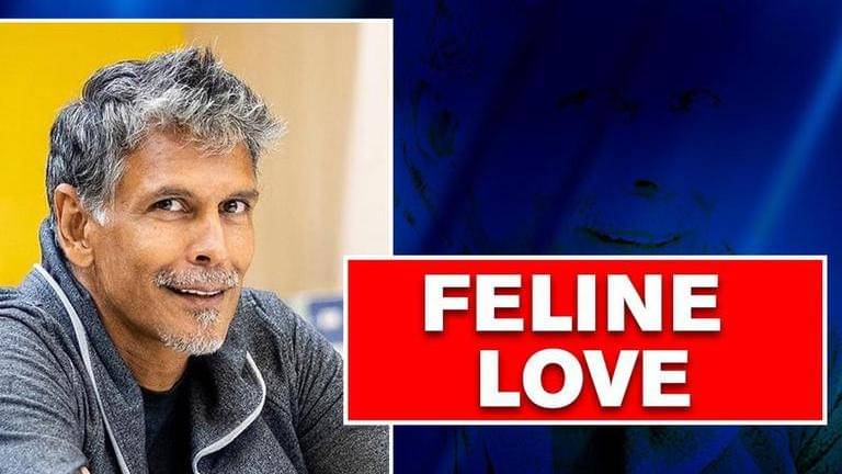 'Wife said no': Milind Soman reveals he wanted to take 'cats' home from ...