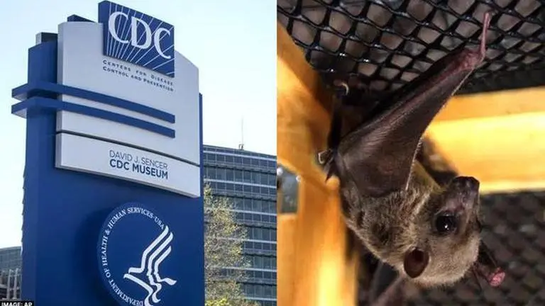 US travellers advised to take precautions after fatal Marburg virus outbreak in Africa Marburg virus CDC