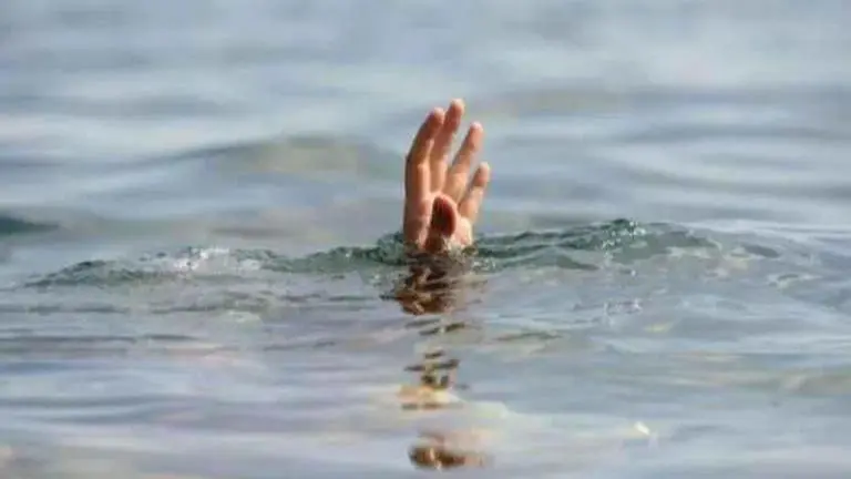 Fisherman drowns in sea after bee attack Fishermen drowns