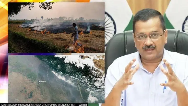 Delhi's AQI 'moderate', likely to deplete to 'poor' category over next 3 days: SAFAR Delhi