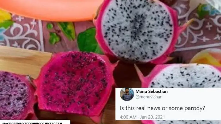 Dragon fruit's new name triggers meme fest; netizens share hilarious reactions on Twitter dragon fruit's new name