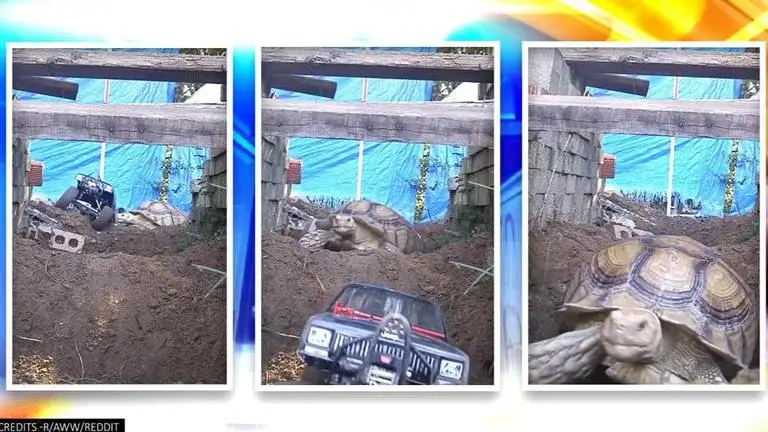 'Jurassic Park' deleted scene leaves netizens in splits, fans hail 'special effects' 'Jurassic Park' deleted scene leaves netizens in splits, fans hail 'special effects'