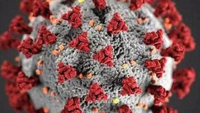 32 people test positive for COVID-19 in Uttarakhand; total rises to 349