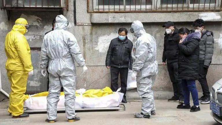 France reports 509 more coronavirus deaths, highest single-day toll France registers 509 deaths due to coronavirus pandemic, makes it highest in single day