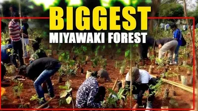 Greater Noida to have India's 'biggest' miyawaki forest: Officials Greater Noida