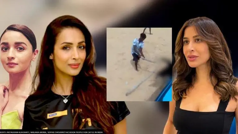 Alia Bhatt, Malaika Arora & others react to Kerala dog cruelty; demand strict punishment Alia Bhatt, Kerala dog cruelty, dog beaten to death, Malaika Arora