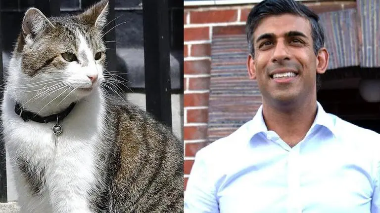 Larry the Cat and Rishi Sunak