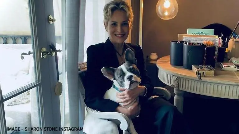 Sharon Stone dons 'Basic Instinct' top showing her iconic leg-crossing scene from the film Sharon Stone