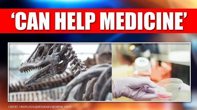 Scientists discover inter-vertebral discs in dinosaur that will help medicine Scientists