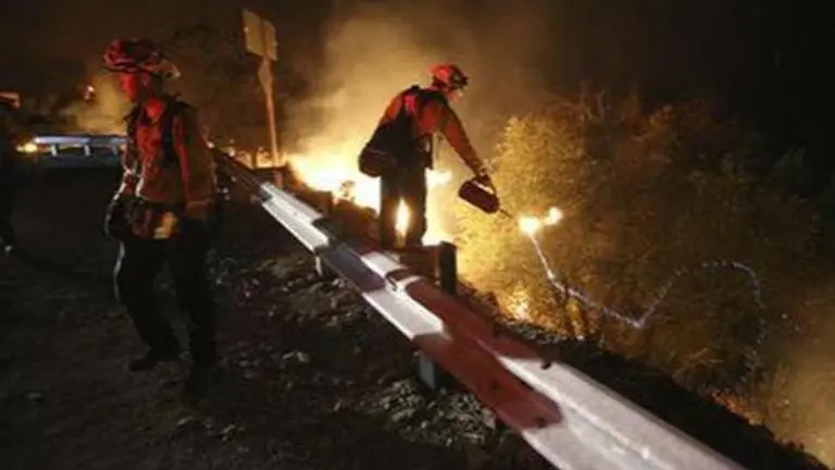 Brazil animal rescue group gets increase in animals due to fires