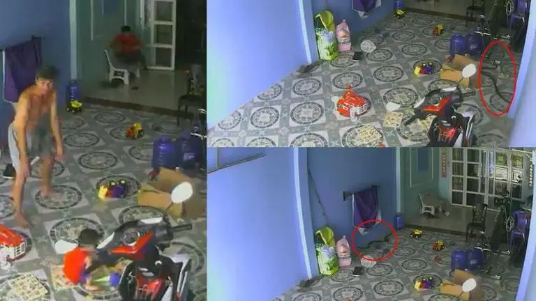 WATCH: King cobra attempts to tail child into his house at 'breakneck speed' King Cobra