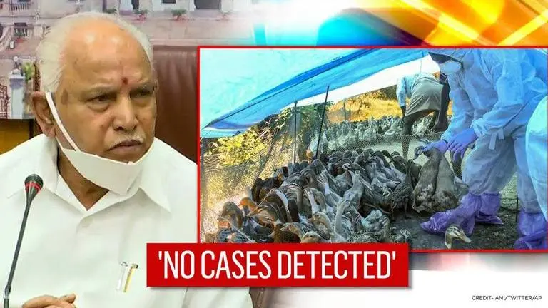 Bird Flu Outbreak: No case of avian influenza in Karnataka, says Health Minister Bird flu