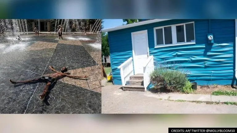 US and Canada heatwave: Netizens share harrowing tale as rising temperatures kill over 200 US and Canada heatwave
