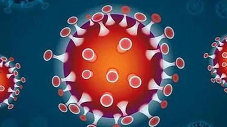 Ahmedabad's COVID-19 case tally rises to 31,346; four die