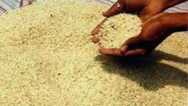 FIRs against 10 people for anomaly in paddy purchase