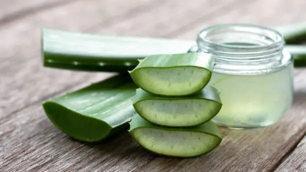 Ayurvedic Herbs That Can Aid In Hair Growth Aloe Vera