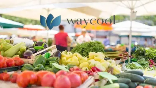 WayCool implements second round of layoffs in a year, citing restructuring WayCool Foods layoffs