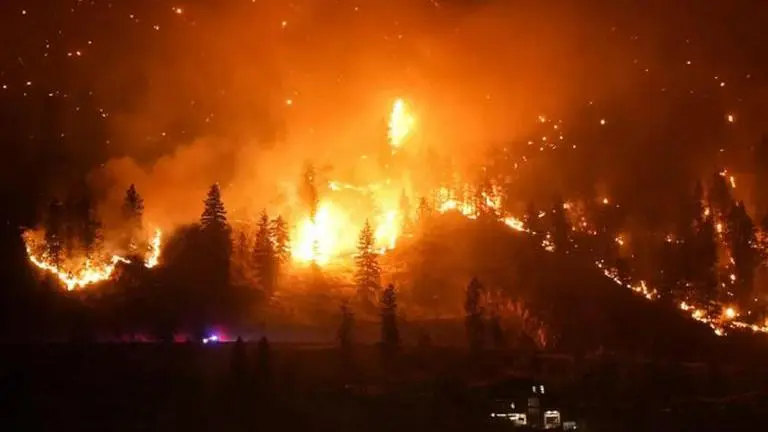 Canadian firefighters