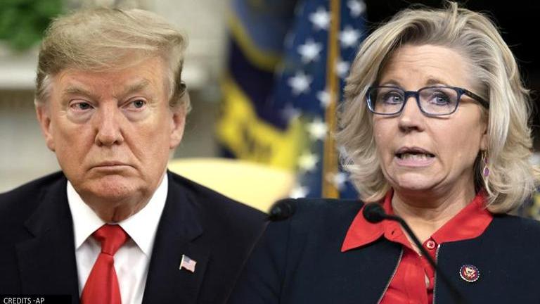 Liz Cheney Ousted From GOP For Refuting Donald Trump's Claims In 2020 ...