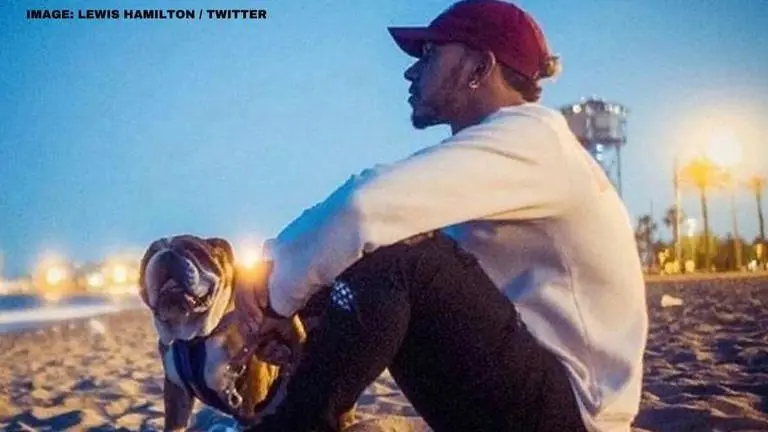 Lewis Hamilton takes to social media, asks China to reclassify dogs as pets Lewis Hamilton