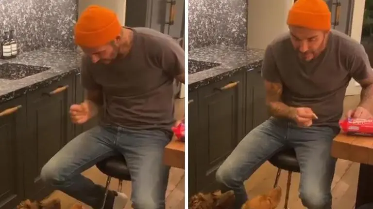 David Beckham trolls wife Victoria Beckham as he feeds his pet dogs: Watch david beckham