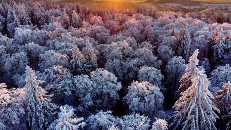 Woman gives birth outdoors in freezing temps in Germany