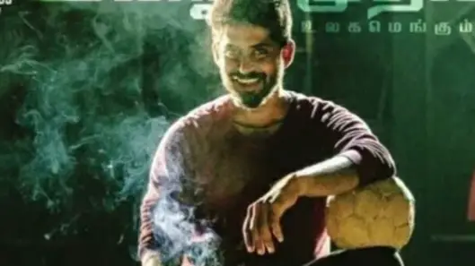 Description of the pic