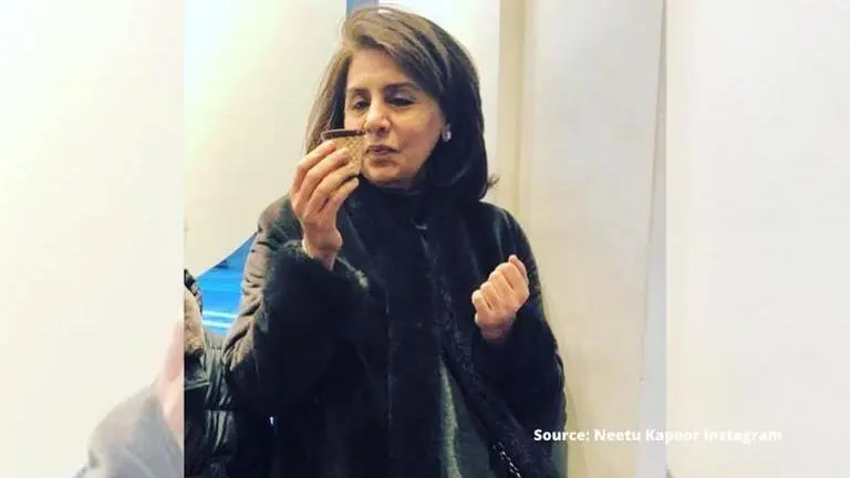 In frame: Neetu Kapoor, Source: Instagram