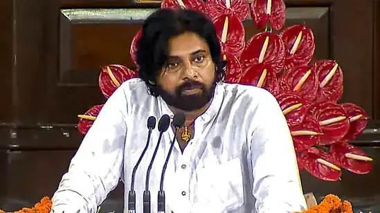 Pawan Kalyan named Deputy CM, allotted Rural Development portfolio