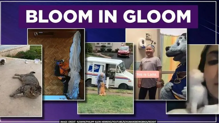 Good News: Five positive stories to spread cheer amid COVID-19 scare Good news