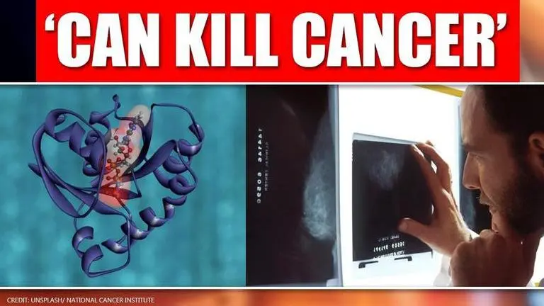 Fatty acid has anticancer effects on human cells, scientists discover fatty acid