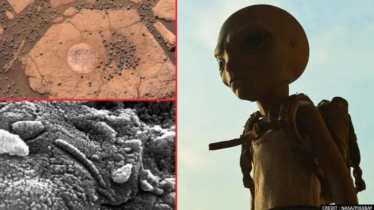 Mars mushrooms? Here are unexplainable incidents that could be signs of alien existence alien life