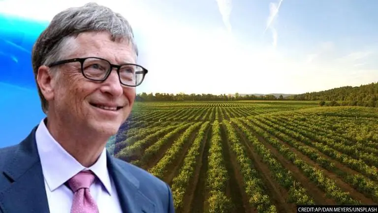 Bill Gates Farmland growing potatoes for McDonald's fries is visible from space: Report Bill Gates Farmland