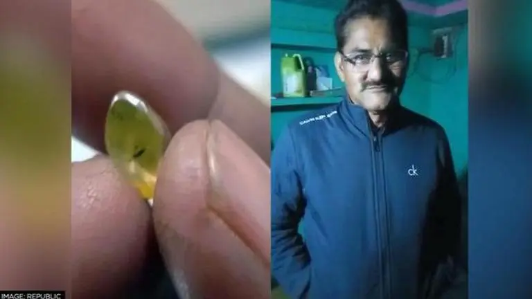 In Madhya Pradesh, man finds 4.57 carat diamond worth Rs 10 lakh in Panna Madhya Pradesh