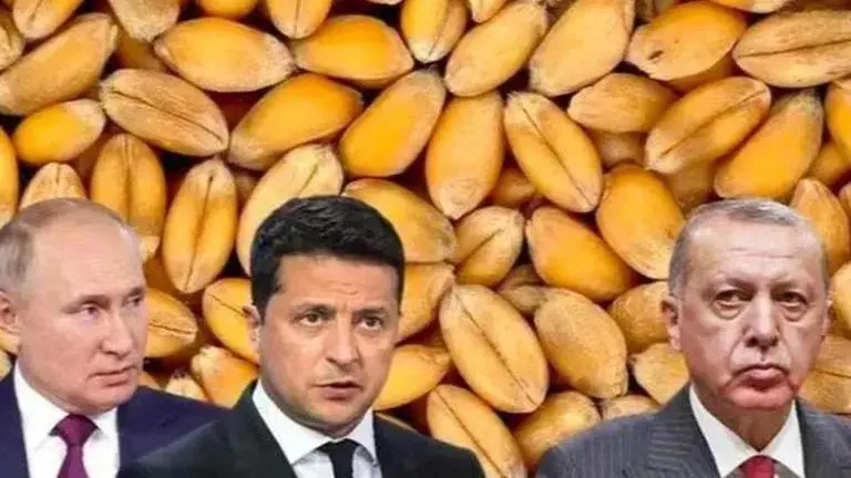 After Putin, Erdogan dials Zelenskyy to discuss export of grains from Ukraine Russia-Ukraine war