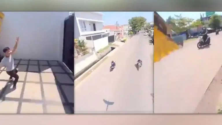 Parrot flies away with mobile phone; journey gets recorded on camera: Watch Parrot, parrot grabs mobile phone, parrot takes away mobile phone, Parrot viral video