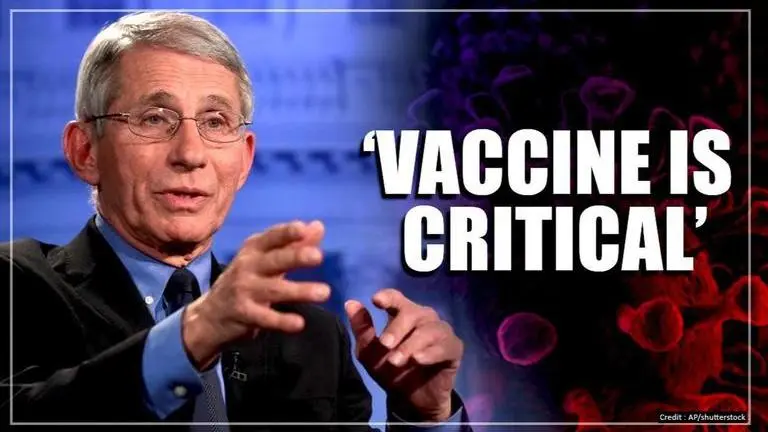 Coronavirus: Top US scientist warns infection could become seasonal Coronavirus