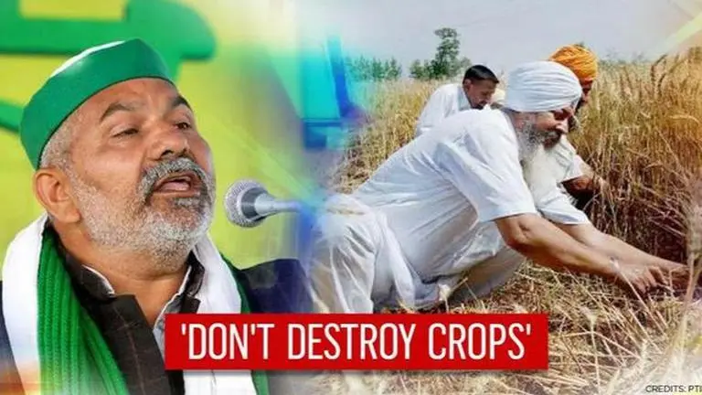 Rakesh Tikait's 'burn crops' call goes wrong; BKU leader makes u-turn as UP farmer acts Rakesh Tikait
