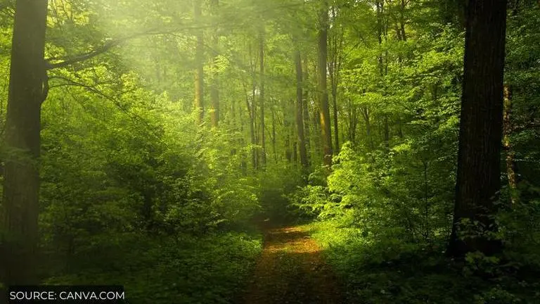 nature photography day