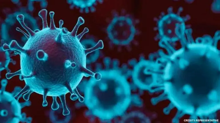 COVID-19 reinfection may lead to severe symptoms, no guarantee of total immunity: Study COVID-19