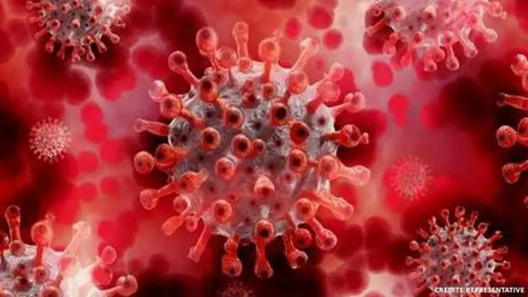 Andhra Pradesh logs 3,986 new COVID-19 cases, 23 more deaths