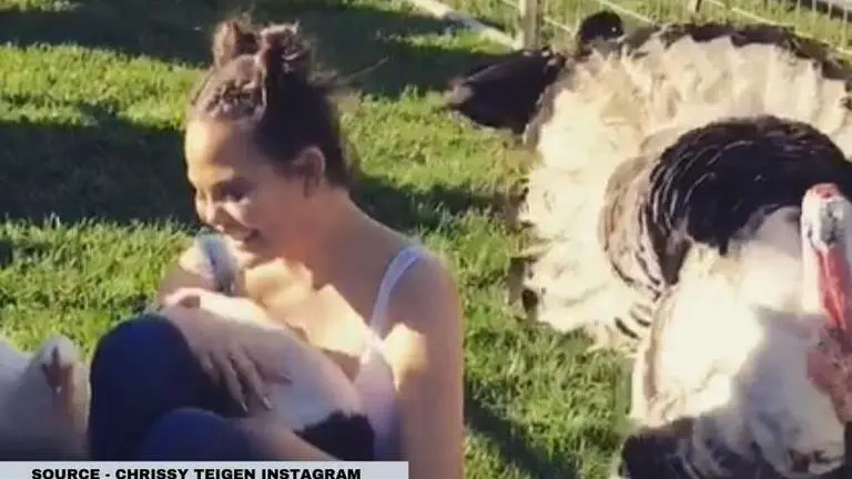 Chrissy Teigen loves wild animals and these pictures are proof Chrissy Teigen