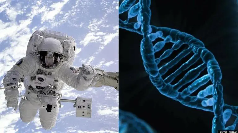 Astronauts successfully demonstrate Genetic editing in space for first time Astronauts