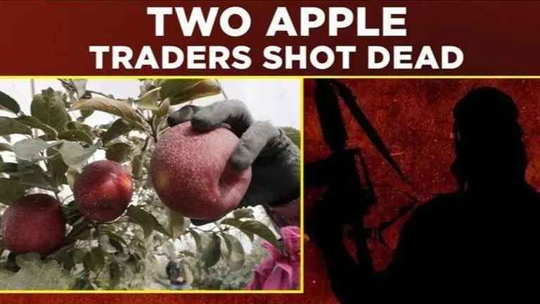 Pakistan & terrorists target Kashmir's economy, attack apple traders J&K