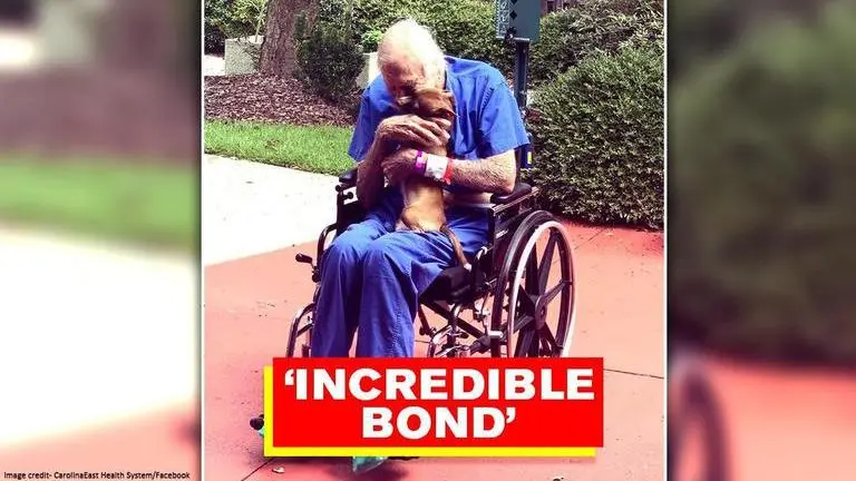 86-year-old Navy Veteran survives a stroke with the help of his pet dog Navy veteran