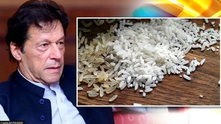 Pakistan opposition mocks Imran Khan govt as rice charity by Saudi Arabia causes stir Image credits: PTI/Pixabay